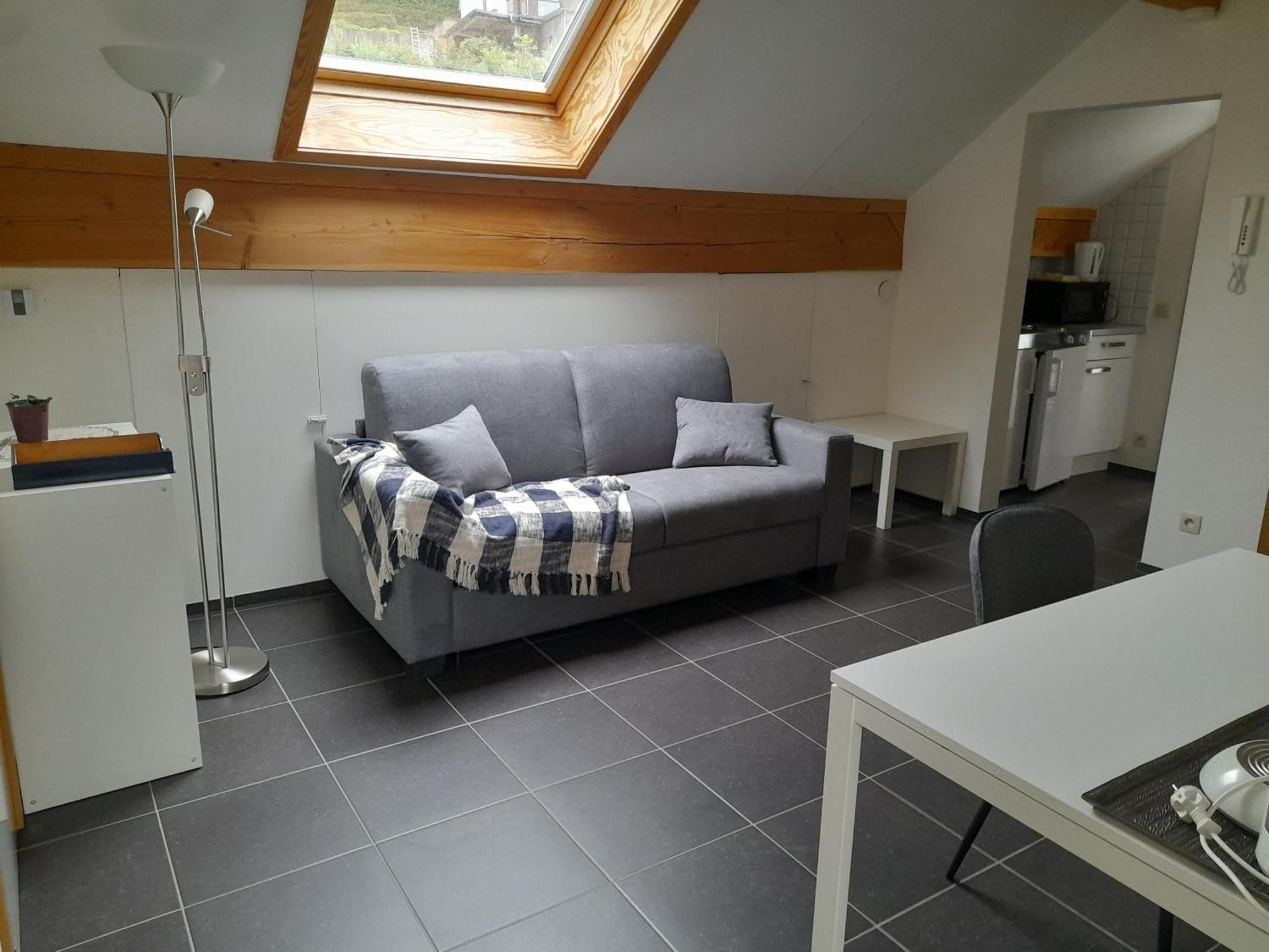 Meuble De Tourisme A Bouillon Apartment Екстериор снимка